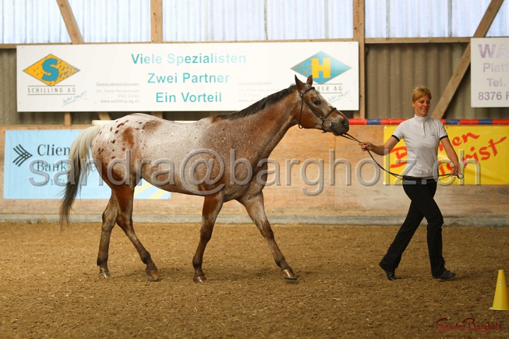 24-ApHC HIH_078.jpg